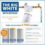 big-white-with-bypass-11